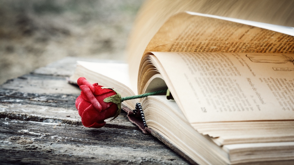 roses in a book