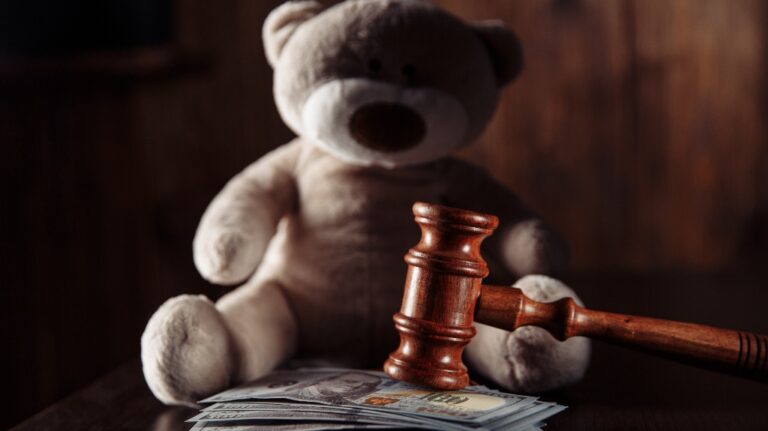 california child support